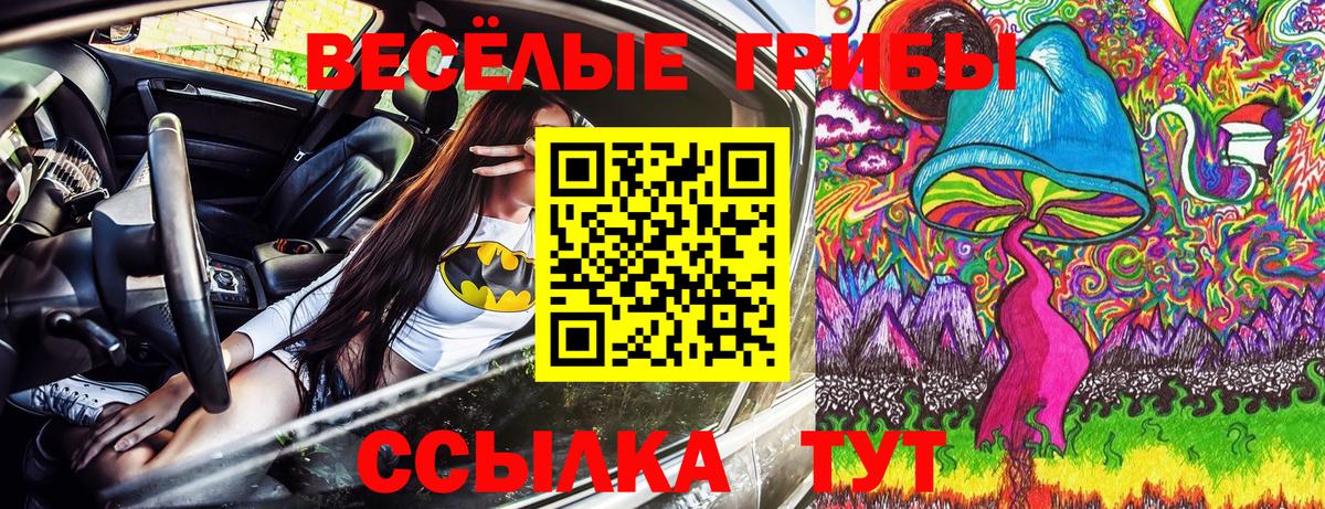 Бирск  Галлюциногенные грибы GOLDEN TEACHER  Вход с VPN  Псилоцибиновые грибы GOLDEN TEACHER 